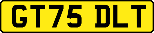 GT75DLT