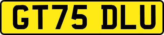 GT75DLU