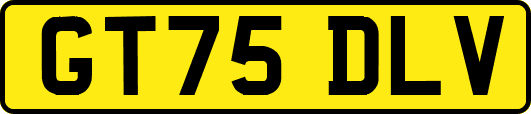 GT75DLV