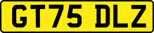 GT75DLZ