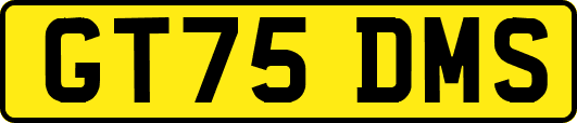 GT75DMS