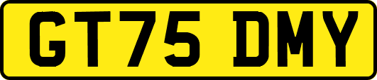 GT75DMY