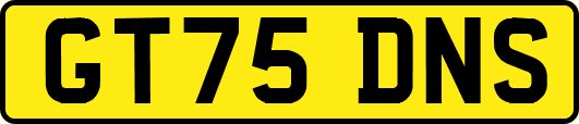 GT75DNS