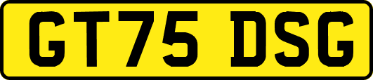 GT75DSG