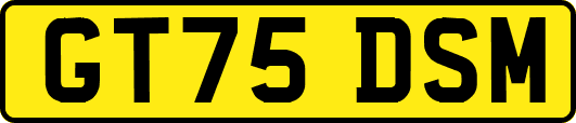 GT75DSM
