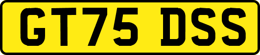GT75DSS