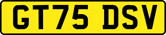 GT75DSV