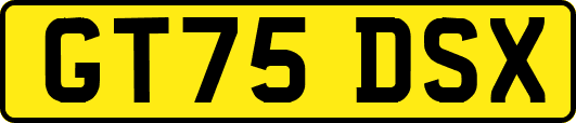 GT75DSX