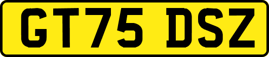 GT75DSZ