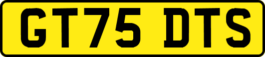GT75DTS