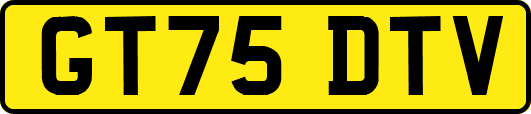 GT75DTV