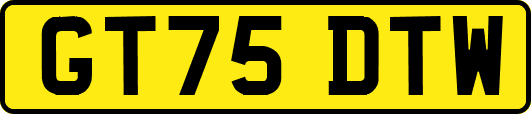 GT75DTW