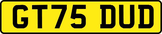 GT75DUD