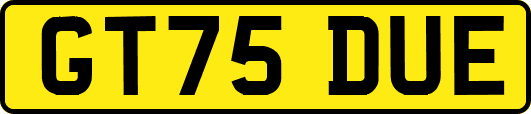 GT75DUE