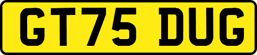 GT75DUG
