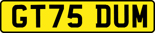 GT75DUM