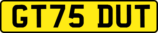 GT75DUT
