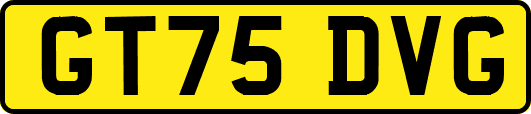 GT75DVG