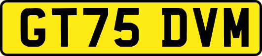 GT75DVM