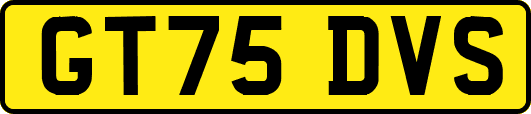 GT75DVS