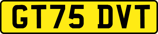 GT75DVT