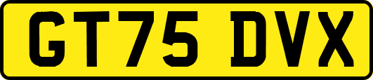 GT75DVX