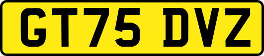 GT75DVZ