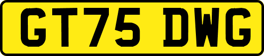 GT75DWG