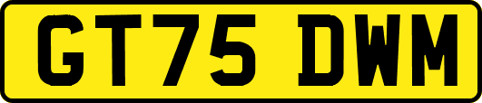 GT75DWM