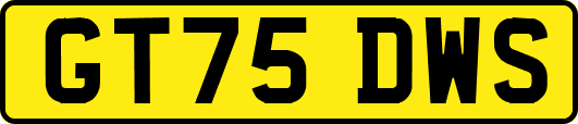 GT75DWS