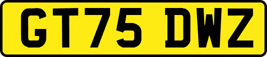 GT75DWZ