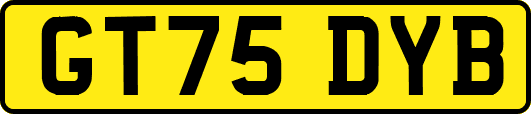 GT75DYB