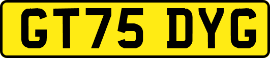 GT75DYG