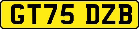 GT75DZB