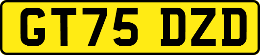GT75DZD