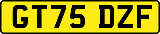 GT75DZF