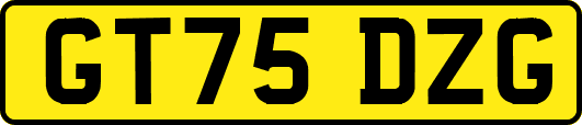 GT75DZG