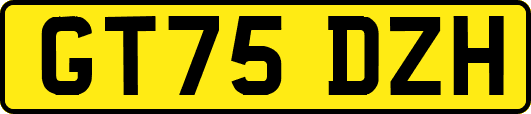 GT75DZH