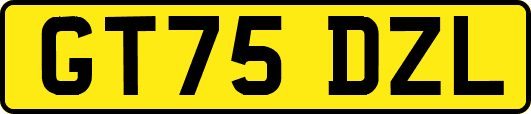 GT75DZL