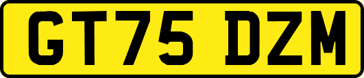 GT75DZM