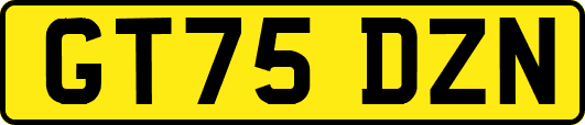 GT75DZN
