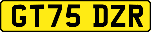 GT75DZR