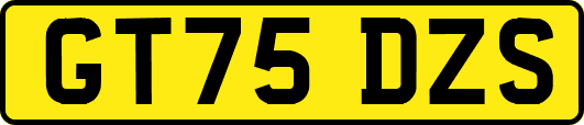 GT75DZS
