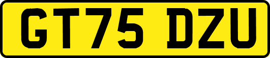 GT75DZU
