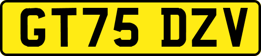 GT75DZV