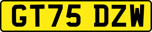 GT75DZW