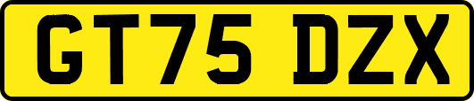 GT75DZX