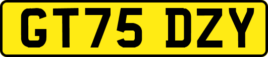 GT75DZY