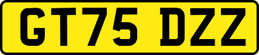 GT75DZZ