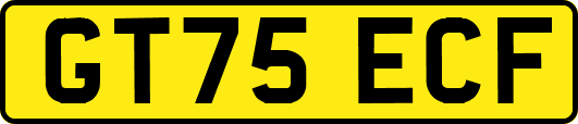 GT75ECF